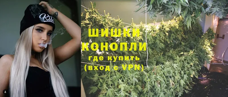 Шишки марихуана White Widow  Иланский 